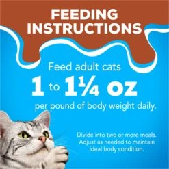Friskies YUMbelievaBOX YUM-azing Extra Gravy Chunky Variety Pack Canned Cat Food -Meow Meals 163996 PT8. AC SS1800 V1554147434