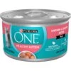 Purina ONE Grain-Free Natural Pate Healthy Kitten Chicken & Salmon Recipe Wet Kitten Food -Meow Meals 166133 MAIN. AC SS1800 V1657656049