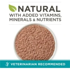 Purina ONE Grain-Free Natural Pate Healthy Kitten Chicken & Salmon Recipe Wet Kitten Food -Meow Meals 166133 PT1. AC SS1800 V1658230167