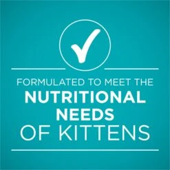 Purina ONE Grain-Free Natural Pate Healthy Kitten Chicken & Salmon Recipe Wet Kitten Food -Meow Meals 166133 PT5. AC SS1800 V1658226573