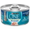 Purina ONE Indoor Advantage 7+ Chicken & Ocean Fish Recipe Pate Wet Cat Food 1 Purina ONE Indoor Advantage 7+ Chicken & Ocean Fish Recipe Pate Wet Cat Food -Meow Meals 166135 MAIN. AC SS1800 V1636671719