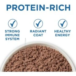 Purina ONE Indoor Advantage 7+ Chicken & Ocean Fish Recipe Pate Wet Cat Food -Meow Meals 166135 PT1. AC SS1800 V1636676487