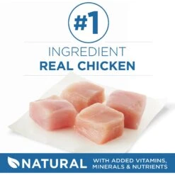 Purina ONE Indoor Advantage 7+ Chicken & Ocean Fish Recipe Pate Wet Cat Food -Meow Meals 166135 PT2. AC SS1800 V1636676190