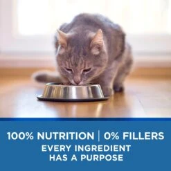 Purina ONE Indoor Advantage 7+ Chicken & Ocean Fish Recipe Pate Wet Cat Food -Meow Meals 166135 PT5. AC SS1800 V1636674714