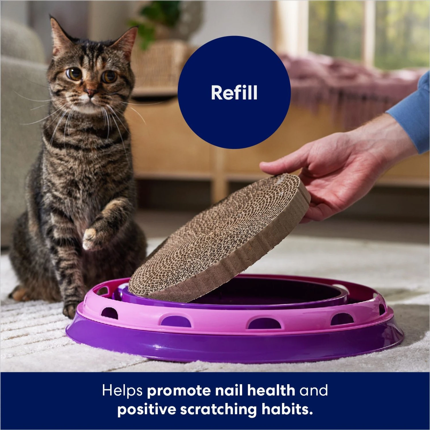 Frisco Scratch & Roll Scratcher Cat Toy Refills 5 Frisco Scratch & Roll Scratcher Cat Toy Refills - Image 3