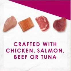 Fancy Feast Savory Centers Variety Pack Canned Cat Food 14 Fancy Feast Savory Centers Variety Pack Canned Cat Food -Meow Meals 169569 PT3. AC SS1800 V1675450046