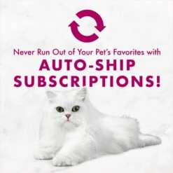 Fancy Feast Savory Centers Variety Pack Canned Cat Food 19 Fancy Feast Savory Centers Variety Pack Canned Cat Food -Meow Meals 169569 PT8. AC SS1800 V1675450086