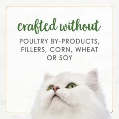 Fancy Feast Gourmet Naturals Pate Variety Pack Canned Cat Food, 3-oz, Case Of 12 -Meow Meals 172632 PT7. AC SS1800 V1677103571