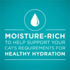 Purina ONE Urinary Tract Health Beef & Liver Recipe Wet Cat Food -Meow Meals 175463 PT2. AC SS1800 V1658207244