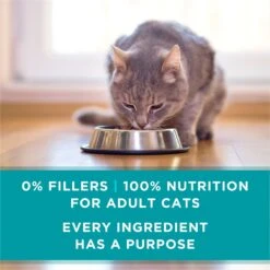 Purina ONE Urinary Tract Health Beef & Liver Recipe Wet Cat Food -Meow Meals 175463 PT6. AC SS1800 V1658194904