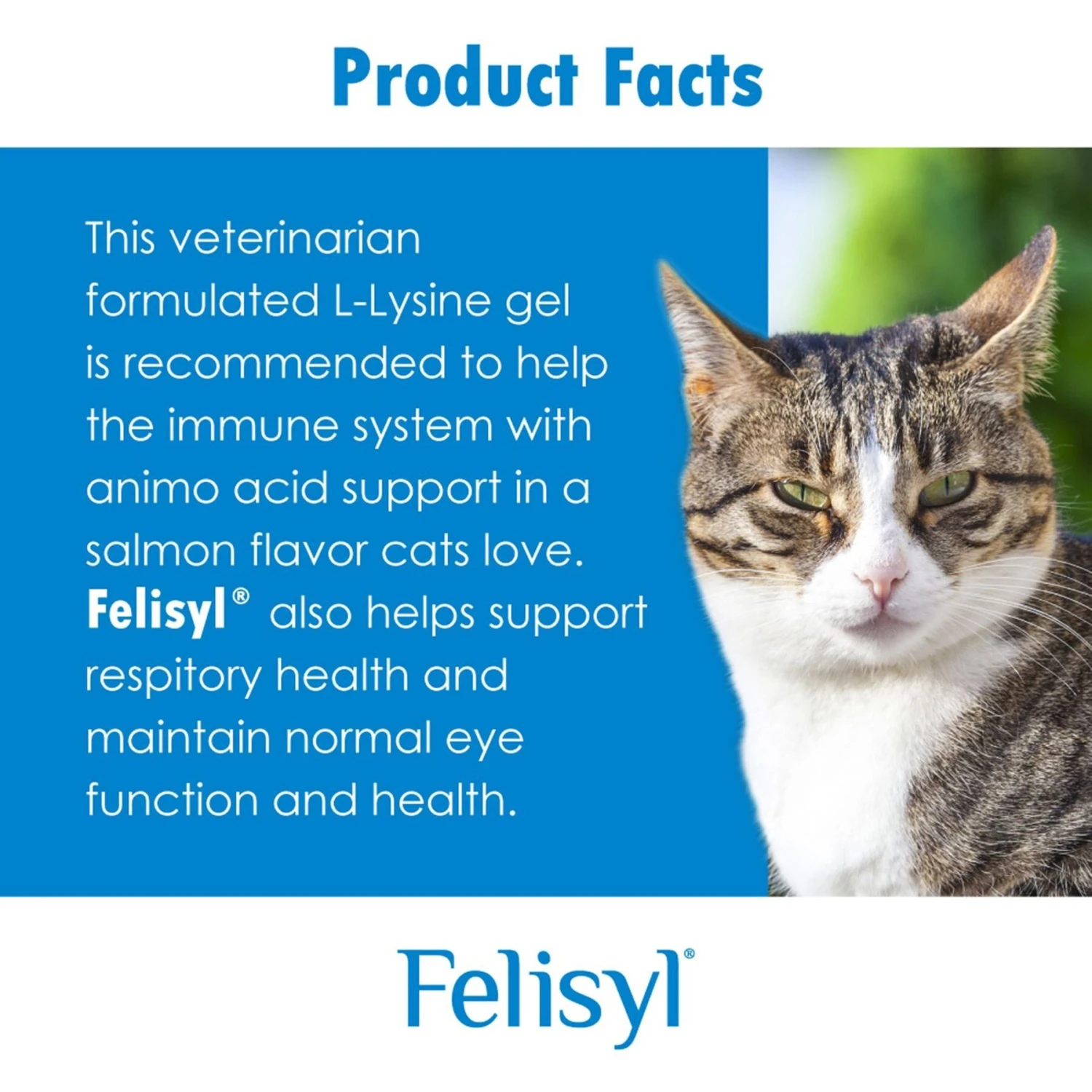 Felisyl Chicken Flavored Soft Chew Immune Supplement For Cats 6 Felisyl Chicken Flavored Soft Chew Immune Supplement For Cats - Image 4