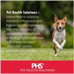 Felisyl Chicken Flavored Soft Chew Immune Supplement For Cats 16 Felisyl Chicken Flavored Soft Chew Immune Supplement For Cats -Meow Meals 175648 PT6. AC SS1800 V1677776605