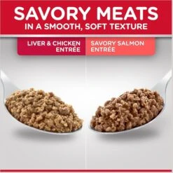 Hill's Science Diet Kitten Liver & Chicken & Savory Salmon Variety Pack Canned Cat Food -Meow Meals 181111 PT2. AC SS1800 V1598151983