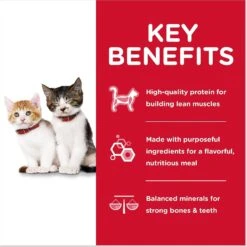 Hill's Science Diet Kitten Liver & Chicken & Savory Salmon Variety Pack Canned Cat Food -Meow Meals 181111 PT4. AC SS1800 V1598141774