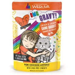 BFF OMG Shine Bright! Chicken & Salmon In Gravy Wet Cat Food Pouches