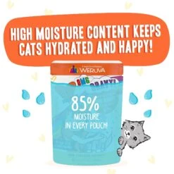 BFF OMG Shine Bright! Chicken & Salmon In Gravy Wet Cat Food Pouches -Meow Meals 182280 PT3. AC SS1800 V1644912999