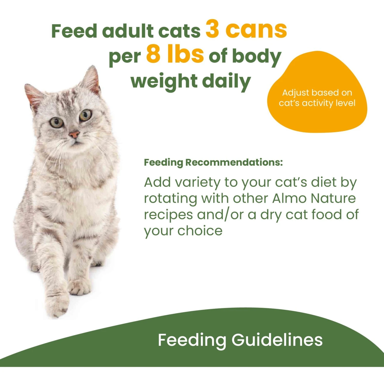 Almo Nature Daily Complete Tuna Dinner With Shrimps In Broth Canned Cat Food 10 Almo Nature Daily Complete Tuna Dinner With Shrimps In Broth Canned Cat Food - Image 8