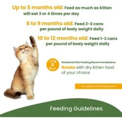 Almo Nature HQS Natural Chicken Recipe Kitten Canned Cat Food -Meow Meals 182893 PT5. AC SS1800 V1639540593