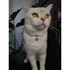Necoichi Chirimen Sakura Breakaway Cat Collar With Bell -Meow Meals 183473 PT3. AC SS1800 V1644903139