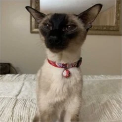 Necoichi Origami Balloon Cotton Breakaway Cat Collar With Bell -Meow Meals 183493 PT6. AC SS1800 V1565879877