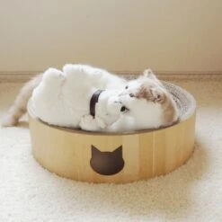 Necoichi Cozy Cat Scratcher Bowl Toy -Meow Meals 183517 PT8. AC SS1800 V1702938859