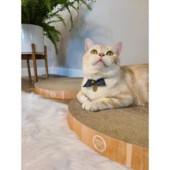 Necoichi Cozy Cat Scratcher Bowl Replacement Pad -Meow Meals 183519 PT5. AC SS1800 V1647460001