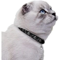 CollarDirect Skull Breakaway Buckle Cat Collar -Meow Meals 190203 PT2. AC SS1800 V1565042576