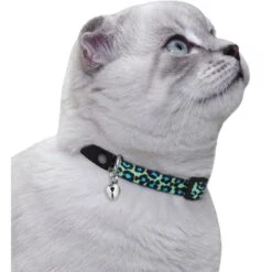 CollarDirect Leopard Breakaway Buckle Cat Collar -Meow Meals 190206 PT2. AC SS1800 V1565042577