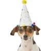 Frisco Confetti Dog & Cat Birthday Hat -Meow Meals 191274 Main. AC SS1800 V1582053295