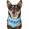 Frisco Pawtriot Dog & Cat Bandana -Meow Meals 191277 Main. AC SS1800 V1584623866