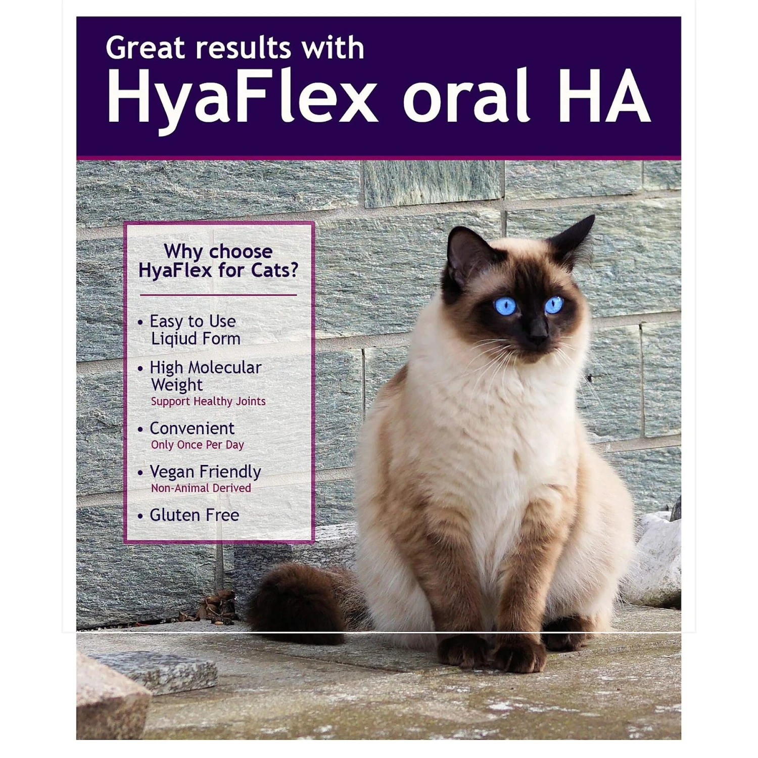 HyaFlex Hyalogic Hyaluronic Acid Hip & Joint Formula Cat Supplement, 1-oz Bottle 5 HyaFlex Hyalogic Hyaluronic Acid Hip & Joint Formula Cat Supplement, 1-oz Bottle - Image 3