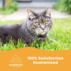 Paramount Pet Health Glucosamine Cat Supplement -Meow Meals 193928 PT6. AC SS1800 V1635274314