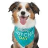 Frisco Happy Gotcha Day Dog & Cat Bandana -Meow Meals 200538 MAIN. AC SS1800 V1633085812