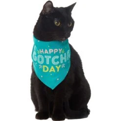 Frisco Happy Gotcha Day Dog & Cat Bandana -Meow Meals 200538 PT2. AC SS1800 V1633057623