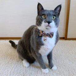 Necoichi Lucky Charm Bow Tie Cotton Breakaway Cat Collar With Bell -Meow Meals 205965 PT4. AC SS1800 V1606862541