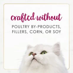 Fancy Feast Gourmet Naturals Natural White Meat Chicken & Beef Recipe In Gravy Canned Cat Food, 3-oz Can, Case Of 12 -Meow Meals 214805 PT6. AC SS1800 V1677102920