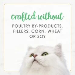 Fancy Feast Gourmet Naturals White Meat Chicken Recipe Grain-Free Pate Kitten Canned Cat Food, 3-oz Can, Case Of 12 17 Fancy Feast Gourmet Naturals White Meat Chicken Recipe Grain-Free Pate Kitten Canned Cat Food, 3-oz Can, Case Of 12 -Meow Meals 214807 PT6. AC SS1800 V1677102857