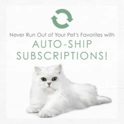 Fancy Feast Gourmet Naturals White Meat Chicken Recipe Grain-Free Pate Kitten Canned Cat Food, 3-oz Can, Case Of 12 19 Fancy Feast Gourmet Naturals White Meat Chicken Recipe Grain-Free Pate Kitten Canned Cat Food, 3-oz Can, Case Of 12 -Meow Meals 214807 pt8. AC SS1800 V1576853089