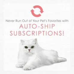 Fancy Feast Gourmet Naturals Natural Wild Alaskan Salmon Recipe Grain-Free Pate Kitten Canned Cat Food, 3-oz Can, Case Of 12 19 Fancy Feast Gourmet Naturals Natural Wild Alaskan Salmon Recipe Grain-Free Pate Kitten Canned Cat Food, 3-oz Can, Case Of 12 -Meow Meals 214809 pt8. AC SS1800 V1576853334