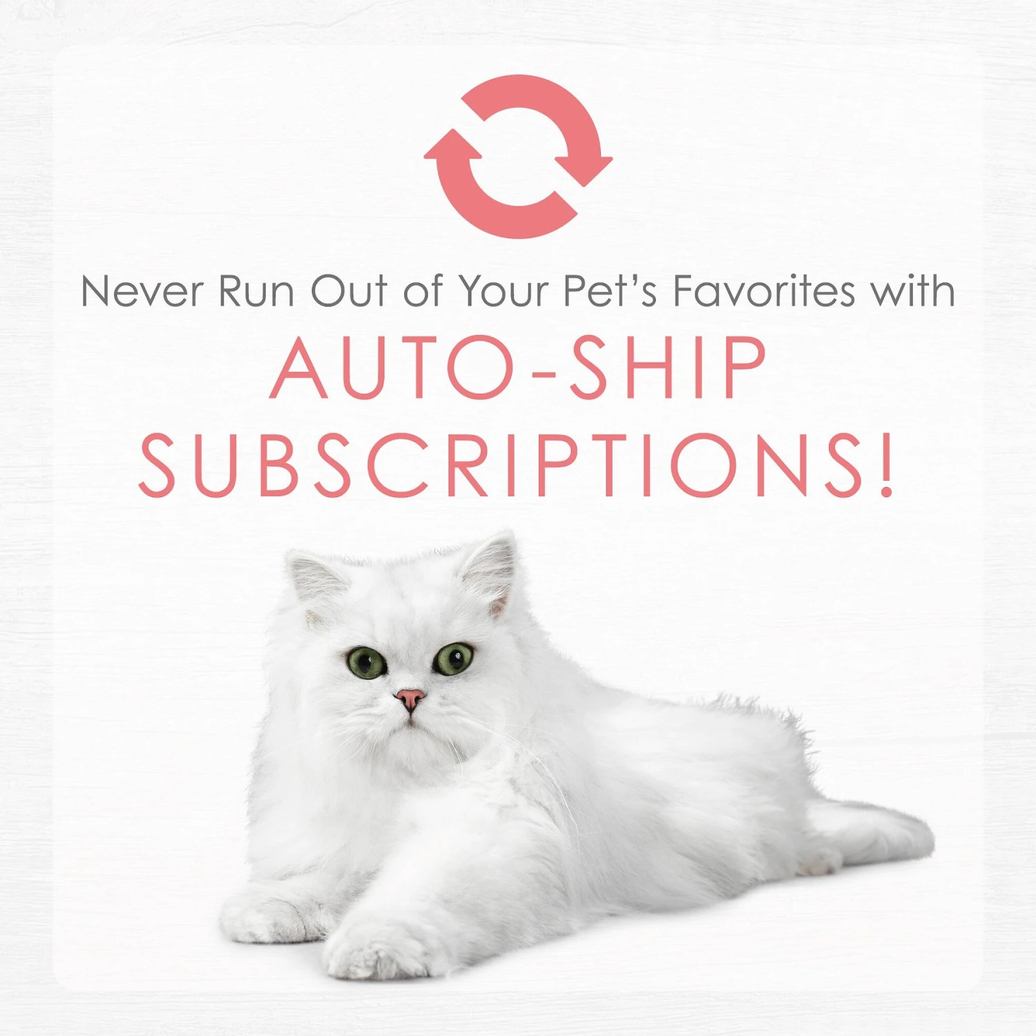 Fancy Feast Gourmet Naturals Natural Wild Alaskan Salmon Recipe Grain-Free Pate Kitten Canned Cat Food, 3-oz Can, Case Of 12 11 Fancy Feast Gourmet Naturals Natural Wild Alaskan Salmon Recipe Grain-Free Pate Kitten Canned Cat Food, 3-oz Can, Case Of 12 - Image 9