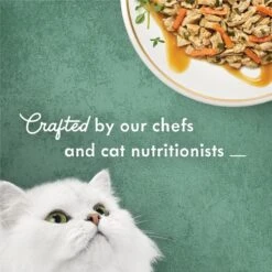 Fancy Feast Medleys White Meat Chicken Recipe With Carrots & Spinach Canned Cat Food, 3-oz Can, Case Of 24 -Meow Meals 214811 PT3. AC SS1800 V1666838757