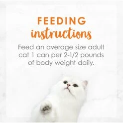 Fancy Feast Medleys White Meat Chicken Recipe With Carrots & Spinach Canned Cat Food, 3-oz Can, Case Of 24 -Meow Meals 214811 pt7. AC SS1800 V1576853346