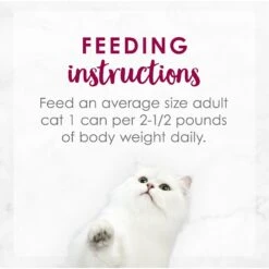 Fancy Feast Medleys Wild Alaskan Salmon Recipe With Garden Veggies In Sauce Canned Cat Food, 3-oz Can, Case Of 24 -Meow Meals 214813 pt7. AC SS1800 V1576853317