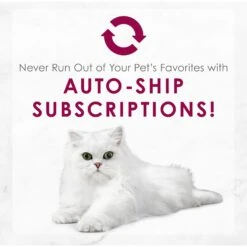 Fancy Feast Medleys Wild Alaskan Salmon Recipe With Garden Veggies In Sauce Canned Cat Food, 3-oz Can, Case Of 24 -Meow Meals 214813 pt8. AC SS1800 V1576853354