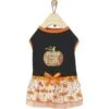 Frisco Pumpkin Patch Cutie Dog & Cat Dress 1 Frisco Pumpkin Patch Cutie Dog & Cat Dress -Meow Meals 215784 MAIN. AC SS1800 V1632424571