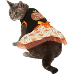 Frisco Pumpkin Patch Cutie Dog & Cat Dress -Meow Meals 215784 PT2. AC SS1800 V1632429076