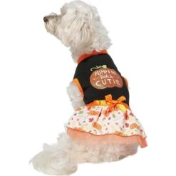 Frisco Pumpkin Patch Cutie Dog & Cat Dress -Meow Meals 215784 PT3. AC SS1800 V1632430875