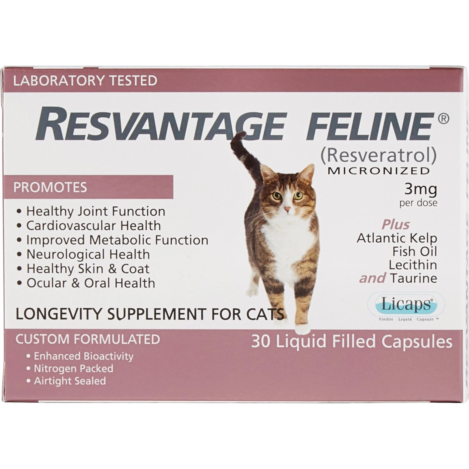 Resvantage Feline Longevity Cat Supplement 5 Resvantage Feline Longevity Cat Supplement - Image 3