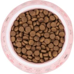 Frisco Pink Cute Cats Melamine Bowl -Meow Meals 216043 PT4. AC SS1800 V1591020694