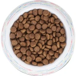 Frisco Colorful Fish Melamine Bowl -Meow Meals 216047 PT4. AC SS1800 V1591020721